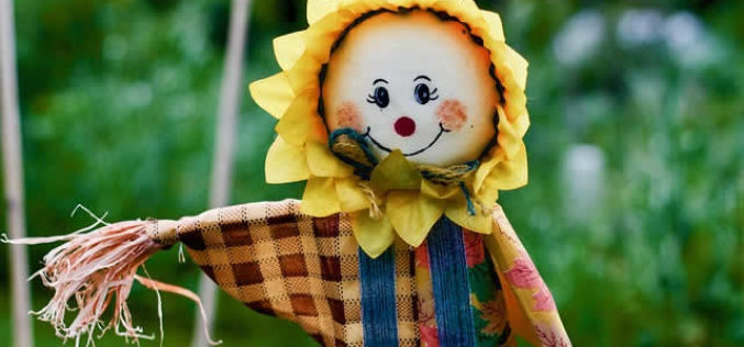 Time for the Scarecrow to Go Up – Just Before Harvest