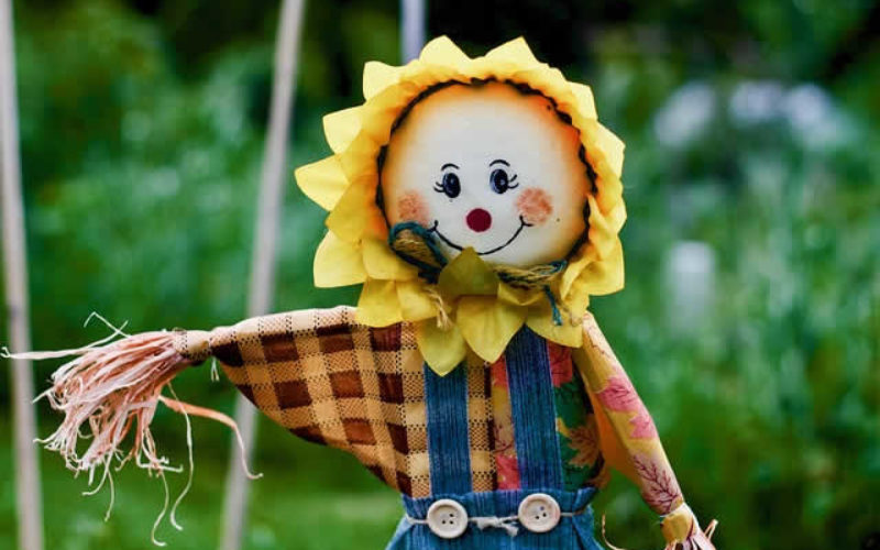 time for scarecrow to go up