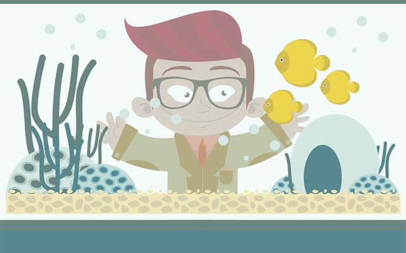 What Is In Your Home Aquarium – Fish or Something Else