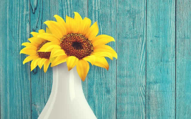 What Can You Do With the Color Yellow?