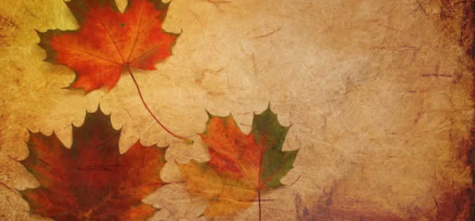 The Fall Season Begins – Here Comes the Beautiful Fall Colors