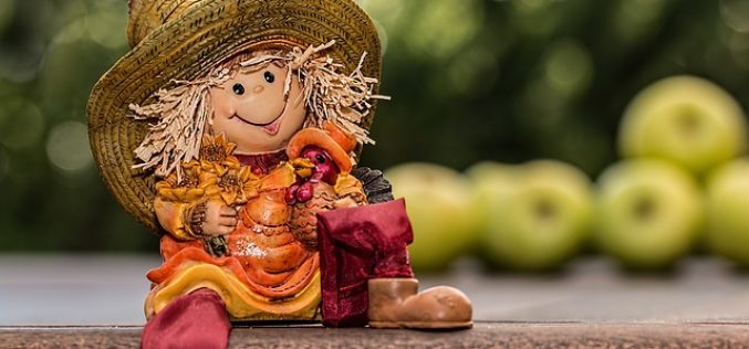 Using Fall Nature for Autumn Decor