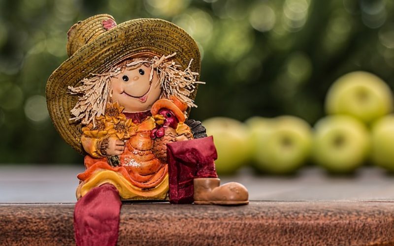 Using Fall Nature for Autumn Decor