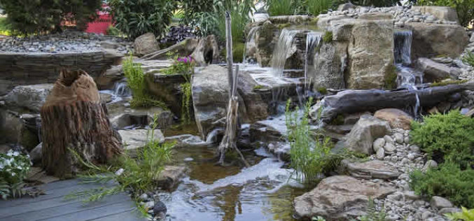 Some Interesting Pond Landscaping Ideas