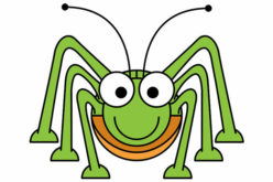Keeping Pests Out Your Home