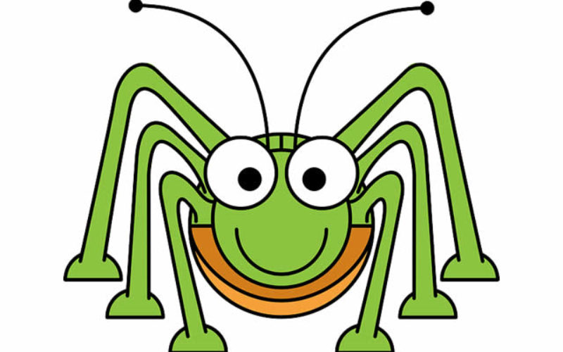Keeping Pests Out Your Home