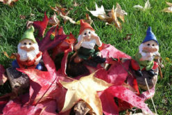 Autumn Gnomes: Perfect Decor for the Fall Season