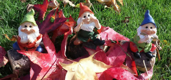 Autumn Gnomes: Perfect Decor for the Fall Season