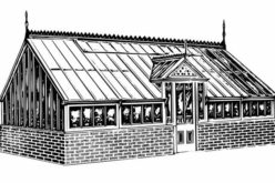 Greenhouse Planting During the Winter