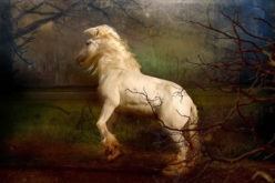 The Headless Horseman – Perfect Happy Halloween Story