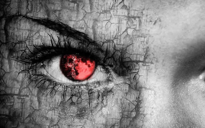 The Day of the Zombie Invasion – Just In Time for Halloween