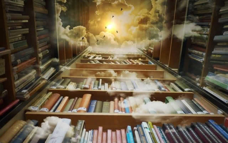 Let’s View How to Store Books Using Bookshelf Ideas