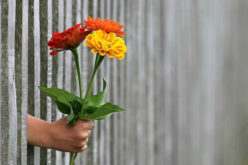The Best Fencing for Different Residential Areas