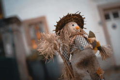 Time for the Scarecrow to Come Down