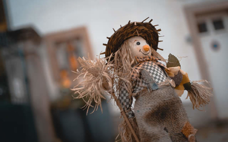 Time for the Scarecrow to Come Down