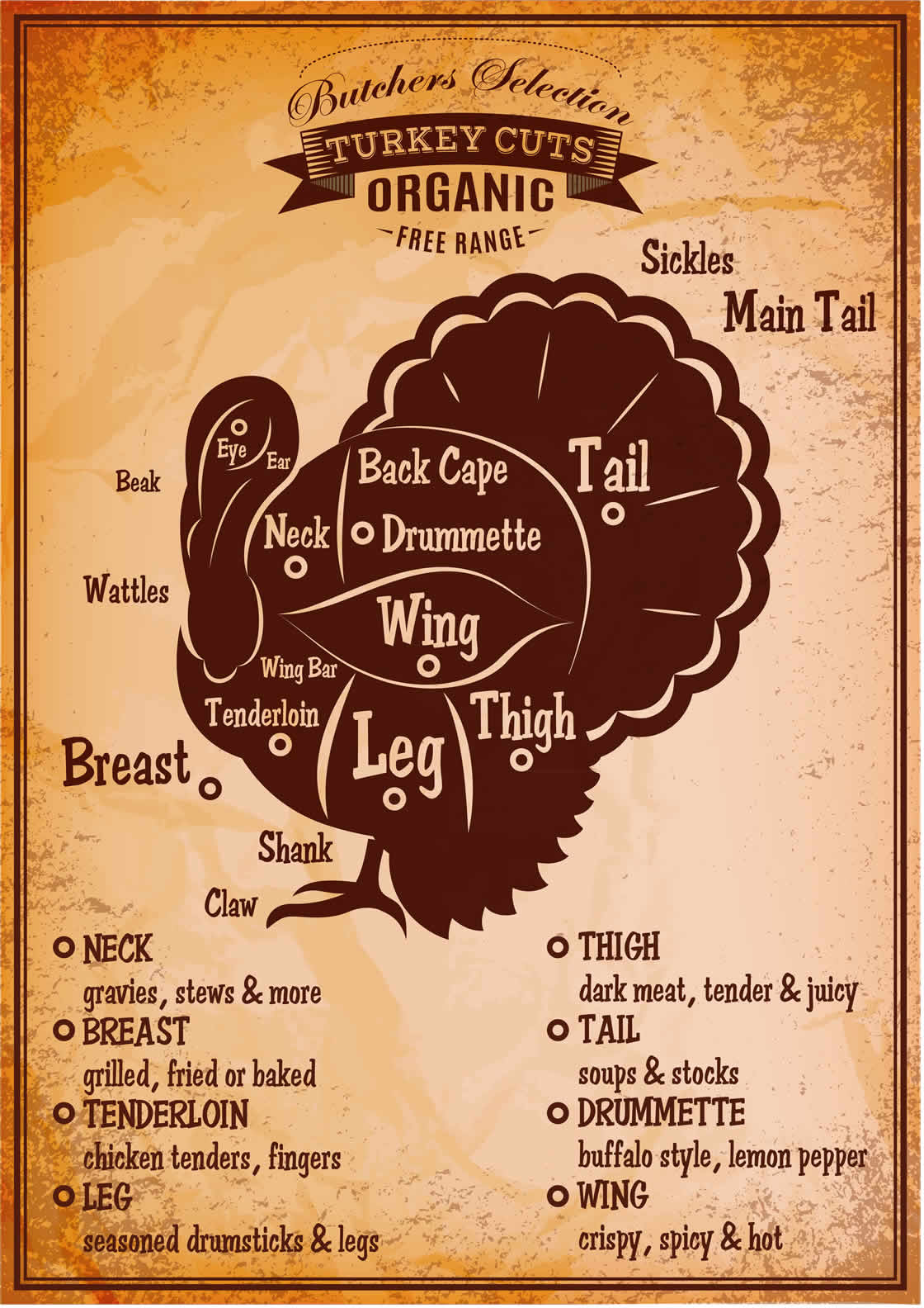 cooking with turkey