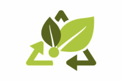5 Simple Eco-Friendly Home Decor Tips