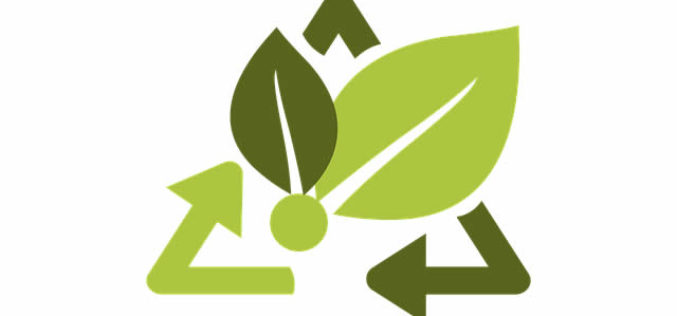 5 Simple Eco-Friendly Home Decor Tips