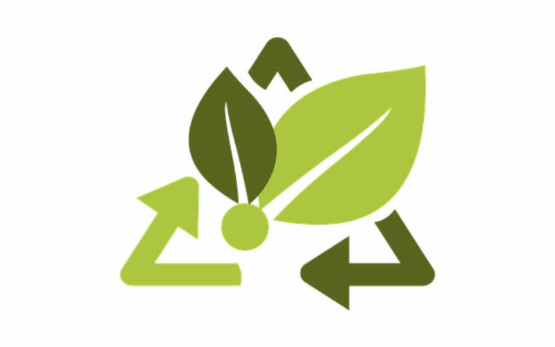 5 Simple Eco-Friendly Home Decor Tips