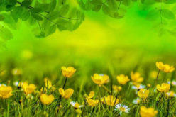 Benefits n’ Necessity of Garden Design on Appearance of the House