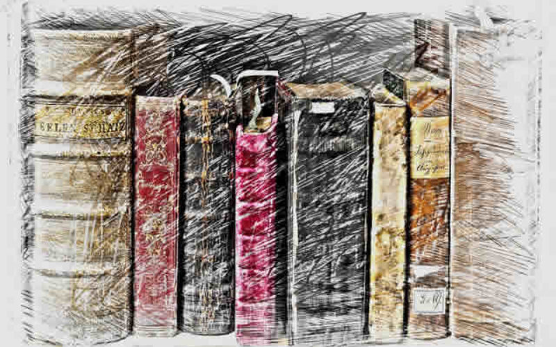Background Wall Color for Classic Book Collection