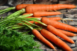 What’s in the Basement: A Personal Basement Food Store