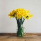 General Home Decor