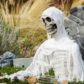 Halloween Decor