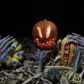 Halloween Decor