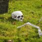 Halloween Decor