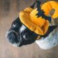 Halloween Decor