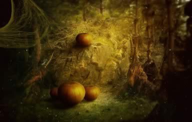 Halloween Decor