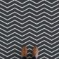 3D Flooring Gallery