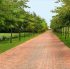 Home Driveway Gallery