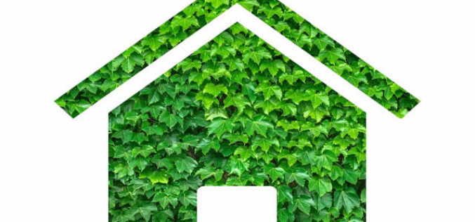 Make Your Home More Eco-Friendly for Summer