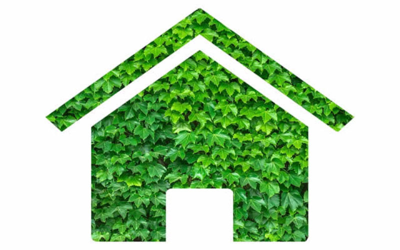 Make Your Home More Eco-Friendly for Summer