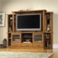 Home Entertainment