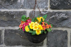 Spring Remodeling Projects to Brighten Your Home