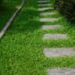 Pathway and Walkway Gallery