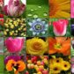 Garden Landscaping