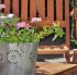 Garden Landscaping