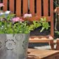 Garden Landscaping
