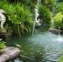 Garden Landscaping
