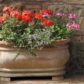 Garden Landscaping