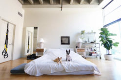 5 Items to Save Money on When Moving Into Your First Apartment
