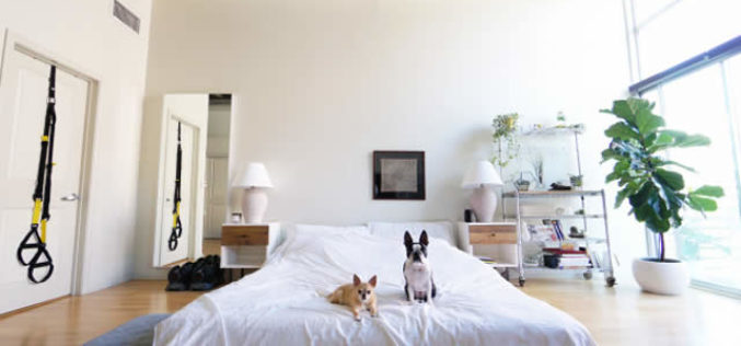 5 Items to Save Money on When Moving Into Your First Apartment