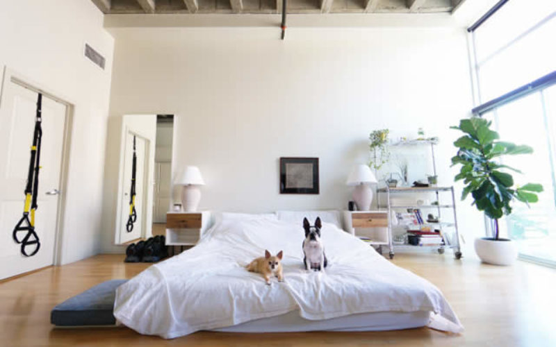 5 Items to Save Money on When Moving Into Your First Apartment
