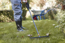 Let’s Get Some Garden Fixes Done This Early Spring
