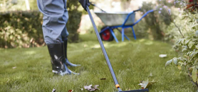 Let’s Get Some Garden Fixes Done This Early Spring