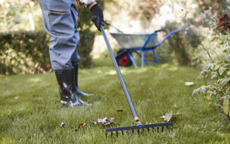 Let’s Get Some Garden Fixes Done This Early Spring